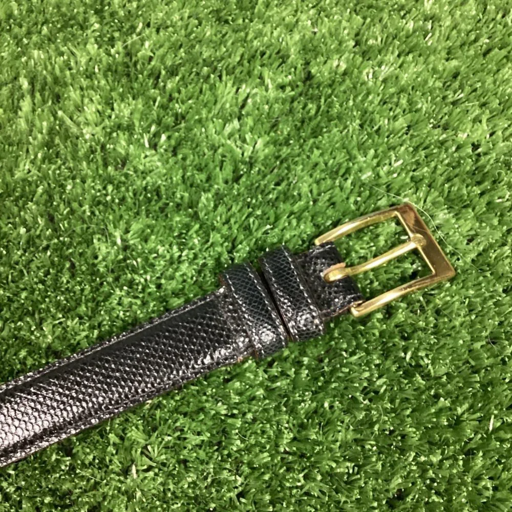 Genuine Snake Skin Black Belt Brass Buckle